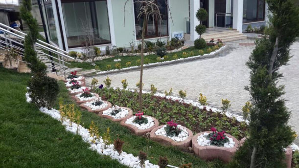 Saksılar