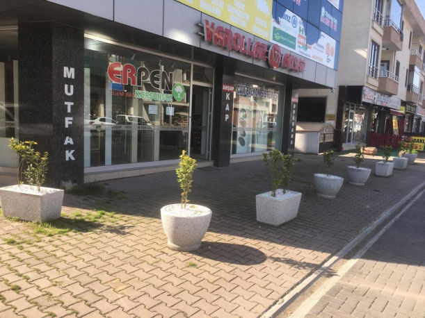 Saksılar