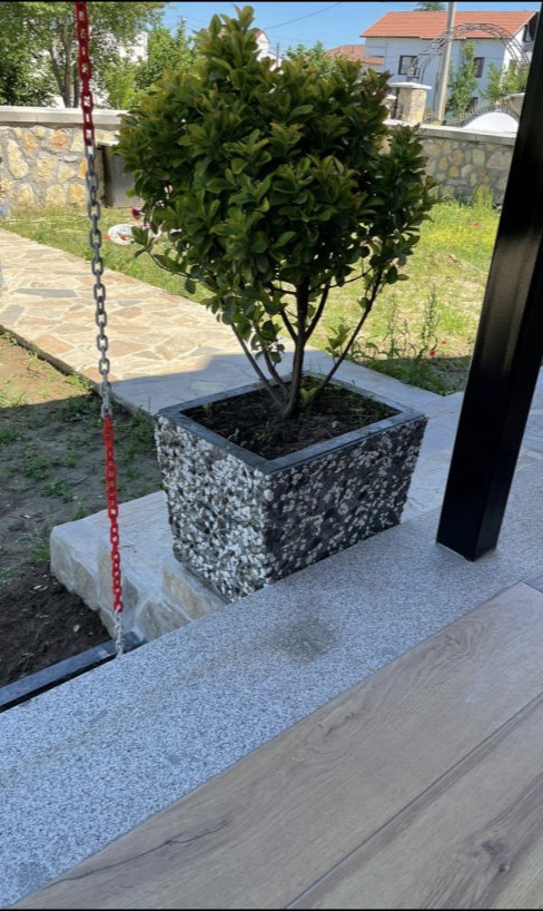 Saksılar