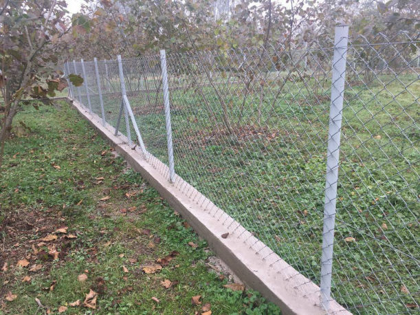 Tel Çesan Avla